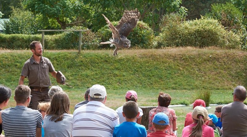 Le PAL : zoom sur les nouveautés 2017 du parc d’attractions et animalier