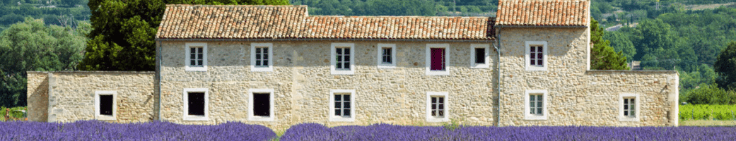 Immobilier de luxe