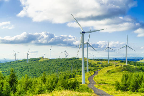 Champ d'éolienne avec herbe verte et ciel bleu en fond