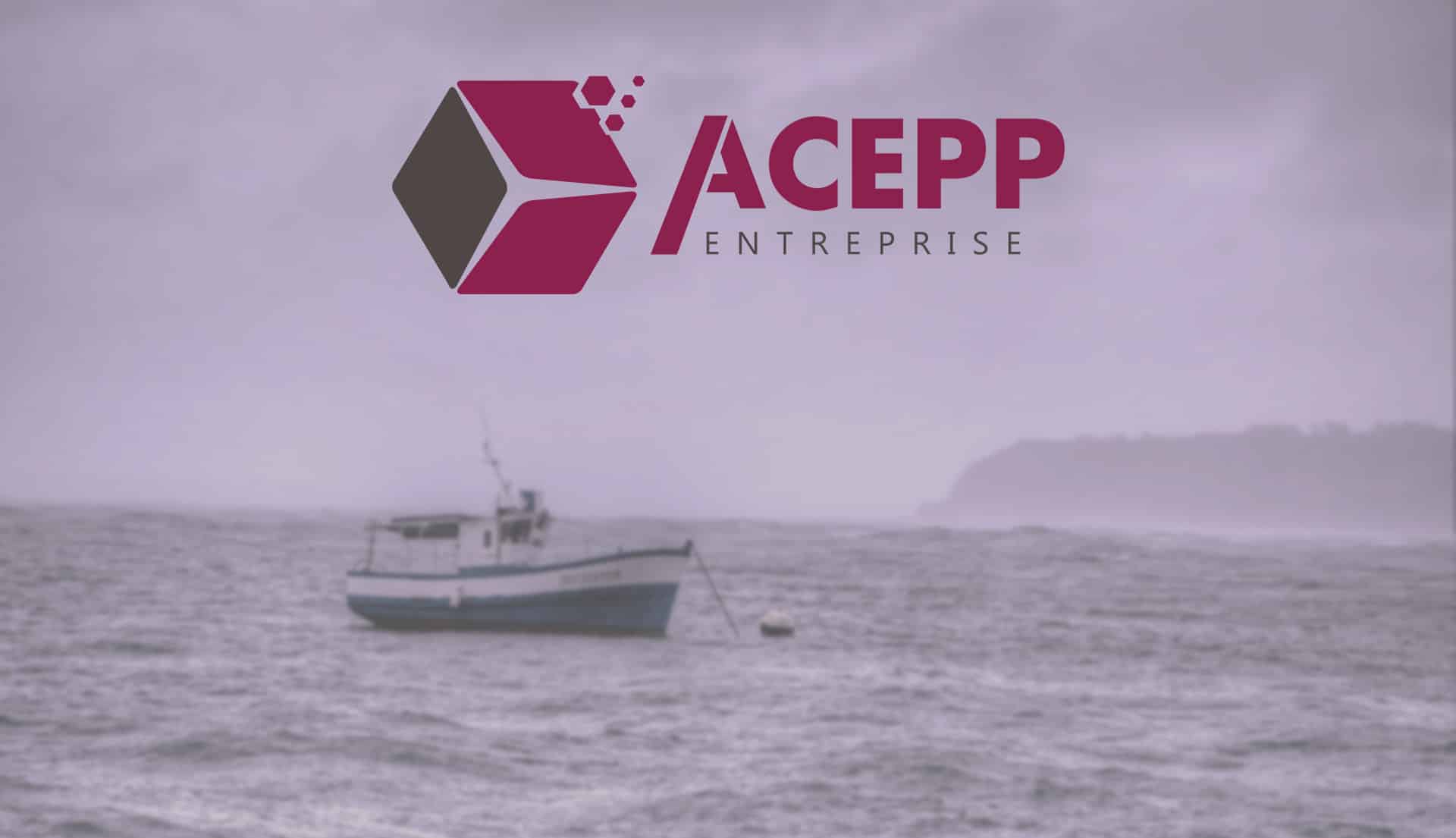 Logo Acepp Entreprise