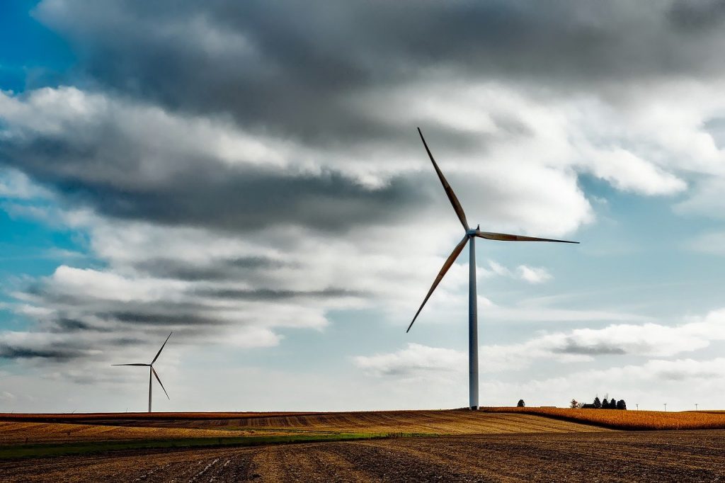 éoliennes dans un champ